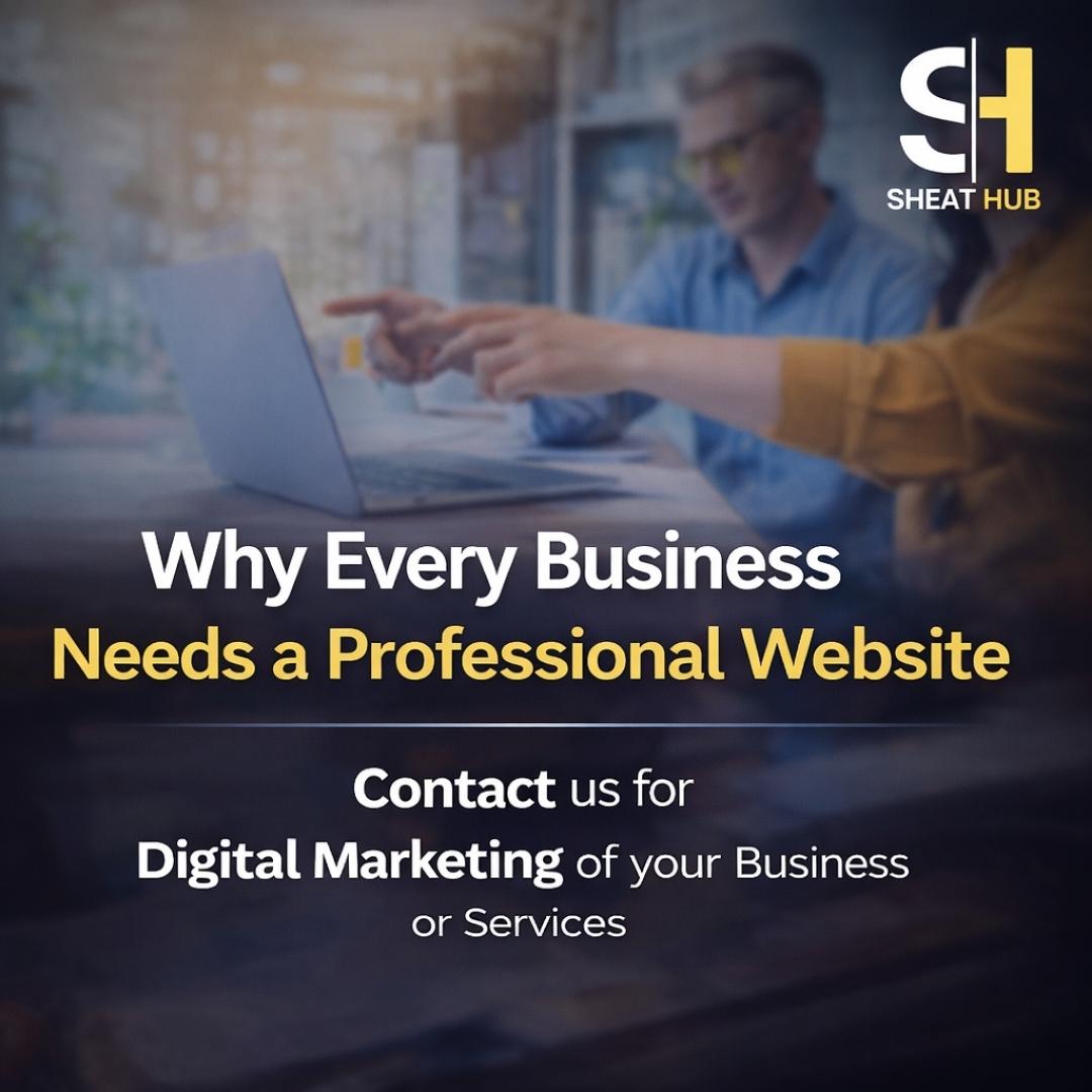 Why Every Business Needs a Professional Website
